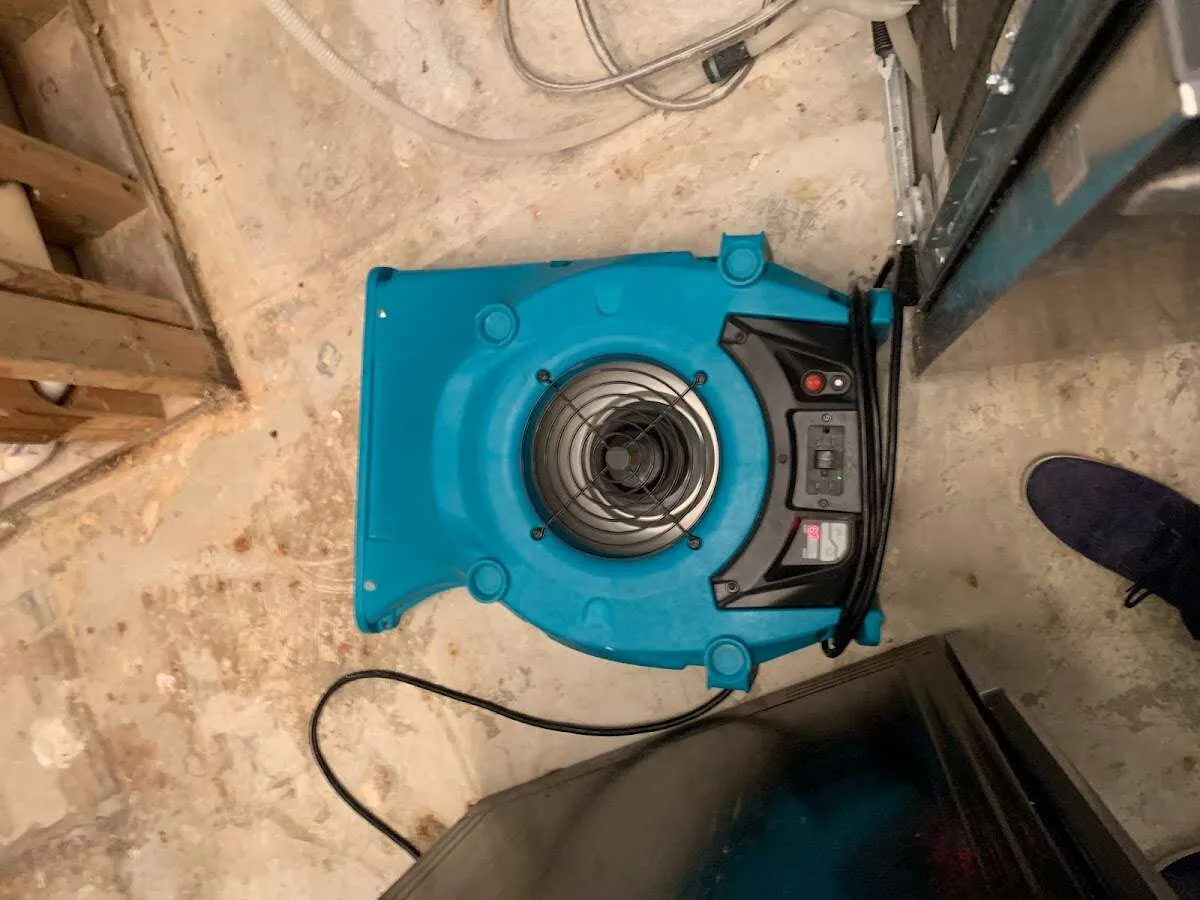 Air mover drying equipment for Mold Remediation & Removal in Forest Hills